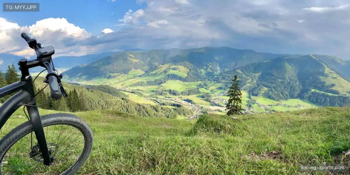 🏀巅峰对决，见证冠军诞生的荣耀瞬间！🏆
